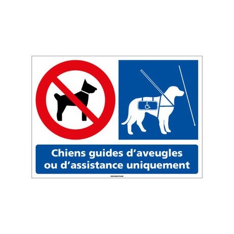 Panneau chiens interdits sauf chiens guides d'aveugles PVC